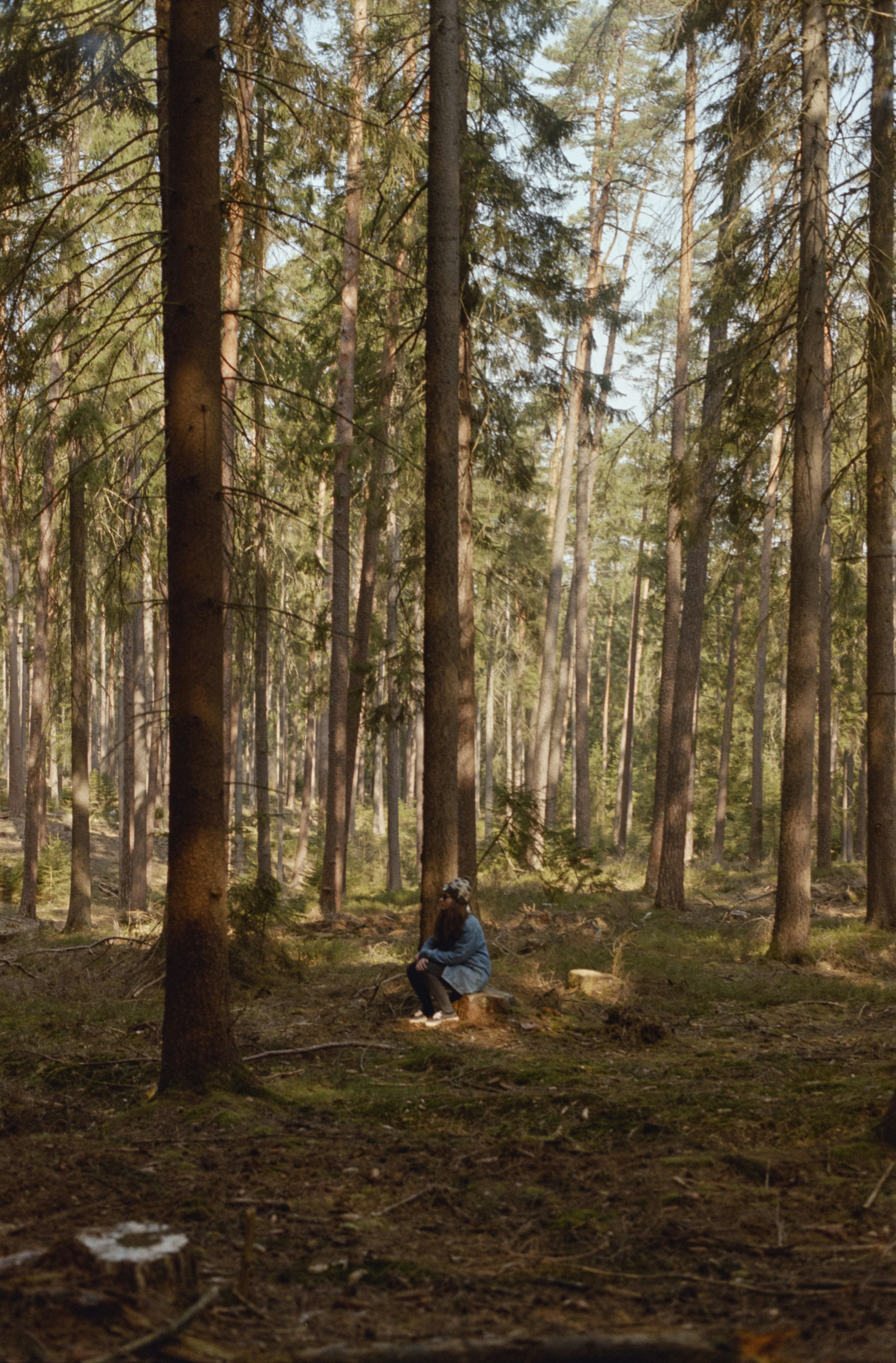person in black jacket sitting on ground surrounded by trees during daytime
